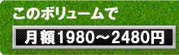z1980`2480~